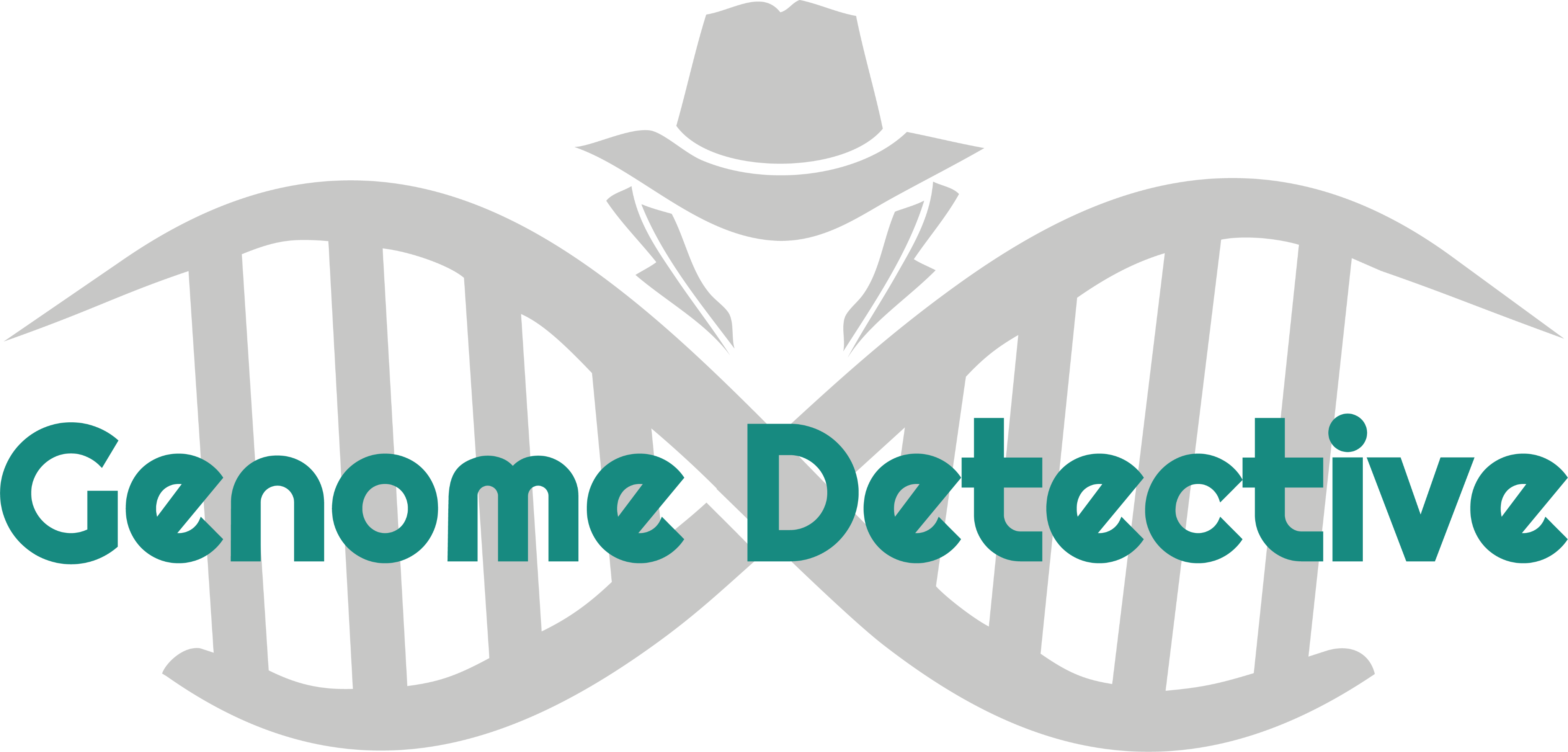 Genome Detective Image