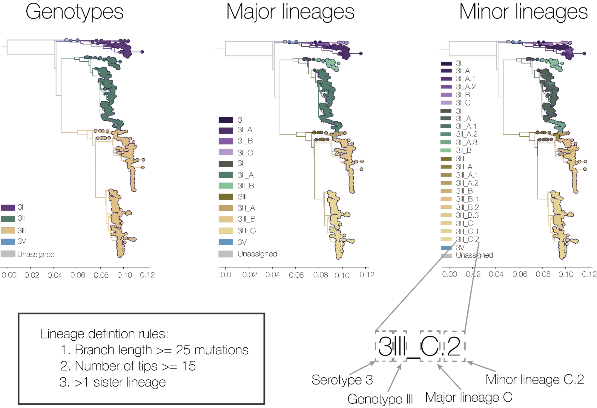 Lineage system using DENV-3 fgigure